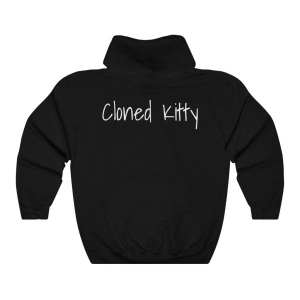 CK Autism Balloon Classic Hoodie - Unisex, Heavy Blend™ Hooded Sweatshirt - Image 4