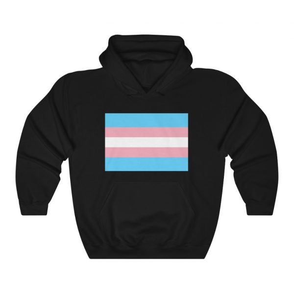 Trans Pride - Unisex Heavy Blend™ Hooded Sweatshirt - Image 5