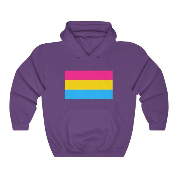 Pansexual - Unisex Heavy Blend™ Hooded Sweatshirt - Image 13