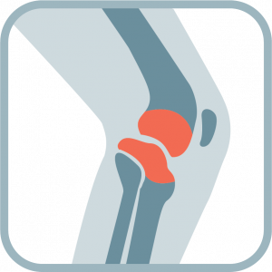 Knee