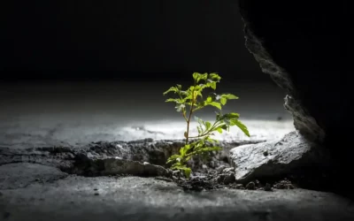 Growing Without Burnout: Sustainable Self-Improvement in a Busy World